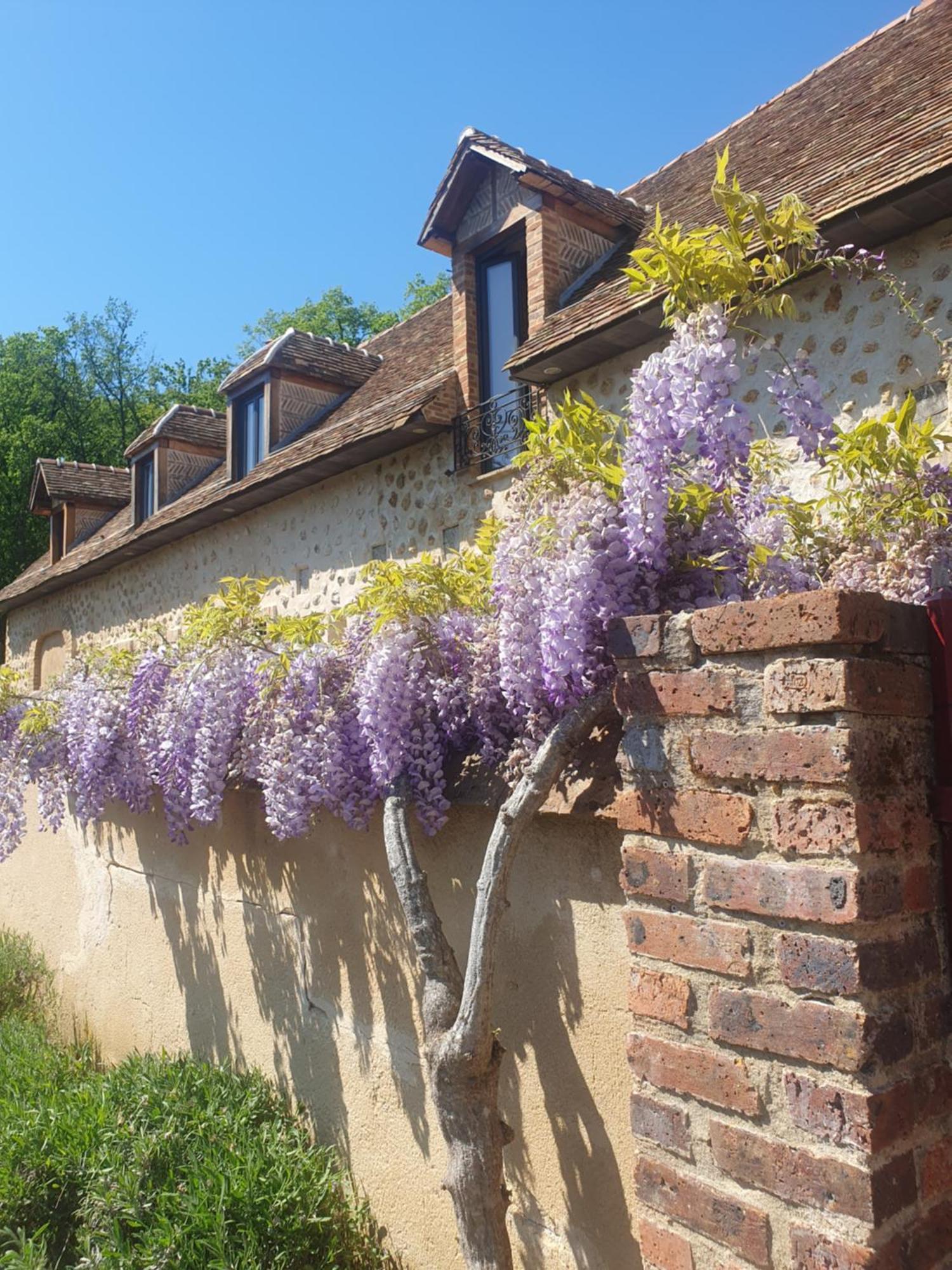 La Sablonnière de Rochefort Extérieur photo